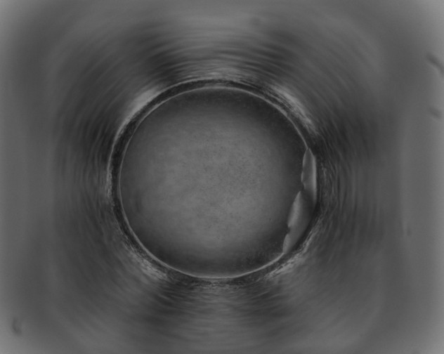 X0000093230780200709261651