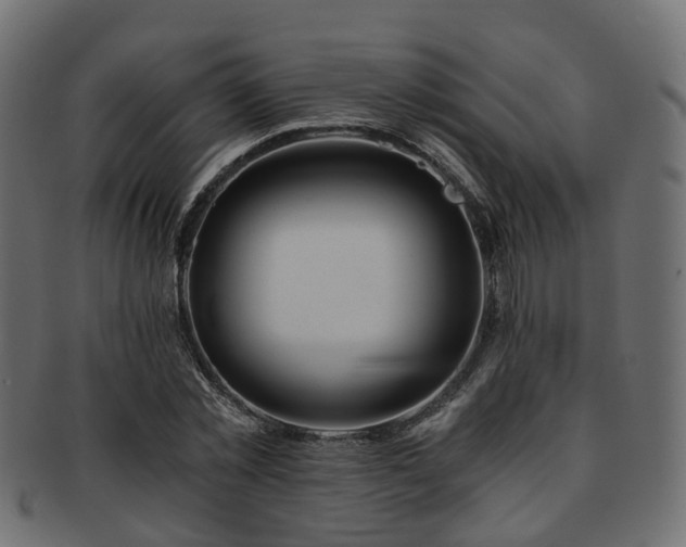 X0000093230781200709261651
