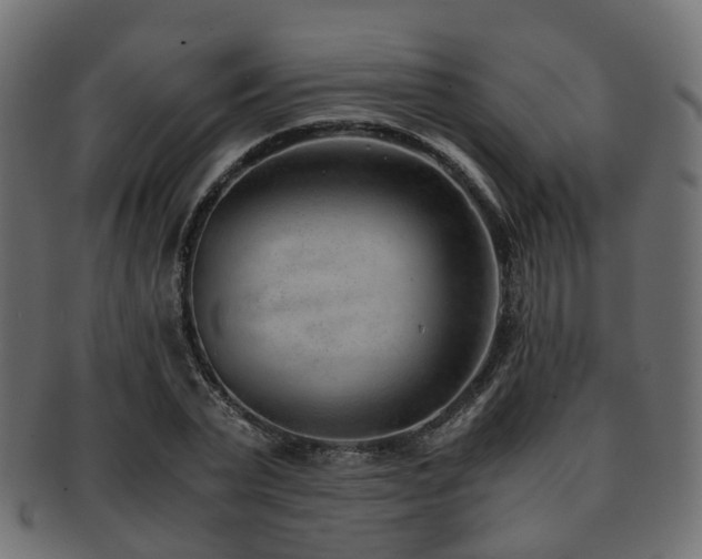 X0000093230783200709261651