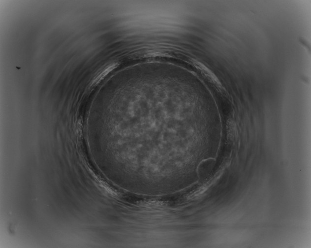 X0000093230785200709261651
