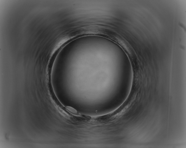 X0000093230787200709261651