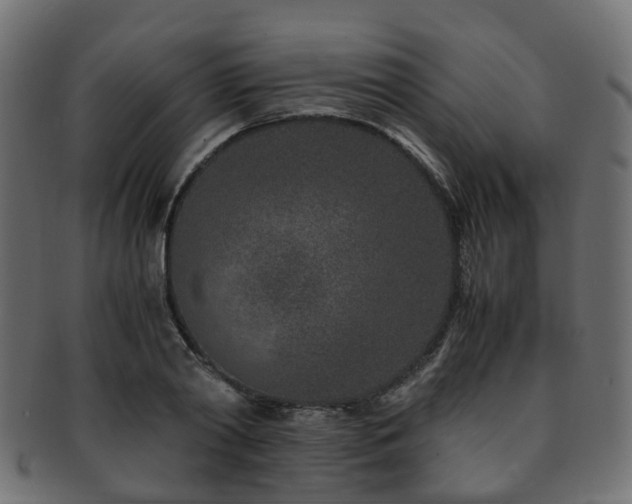 X0000093230790200709261651