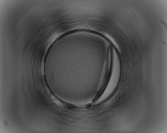 X0000093230791200709261651