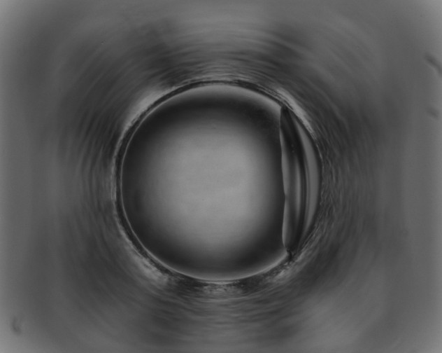 X0000093230795200709261651