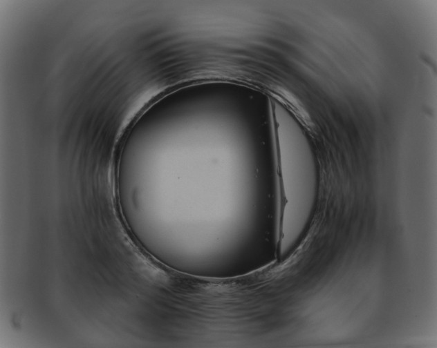 X0000093230796200709261651