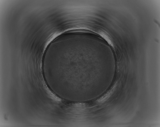X0000093230797200709261651