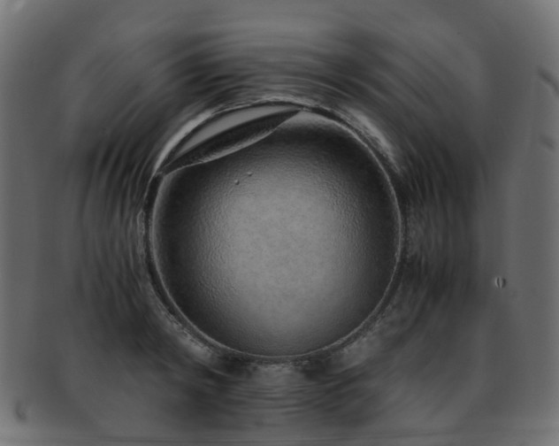X0000093230798200709261651