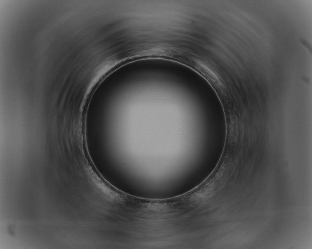 X0000093230800200709261651