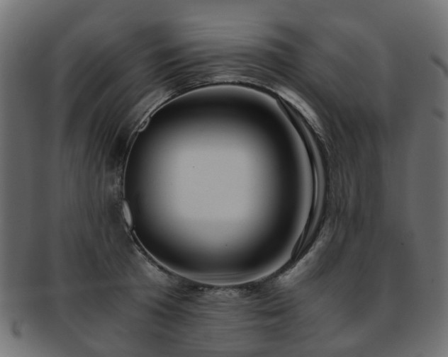 X0000093230801200709261651