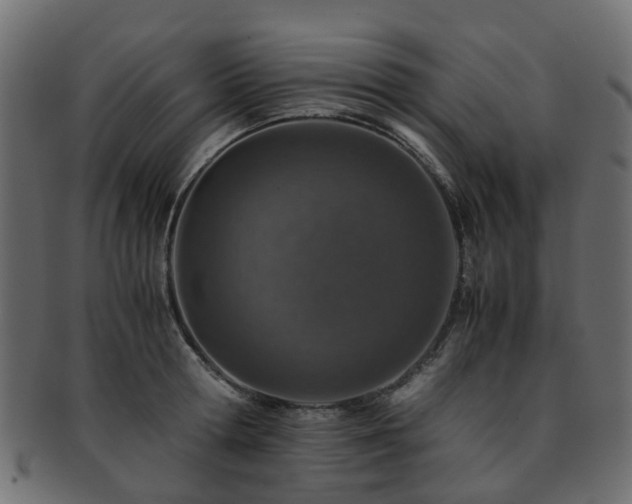 X0000093230802200709261651