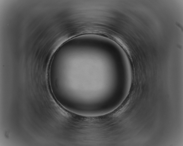 X0000093230803200709261651