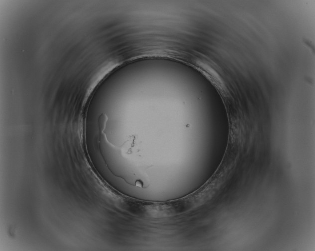 X0000093230804200709261651