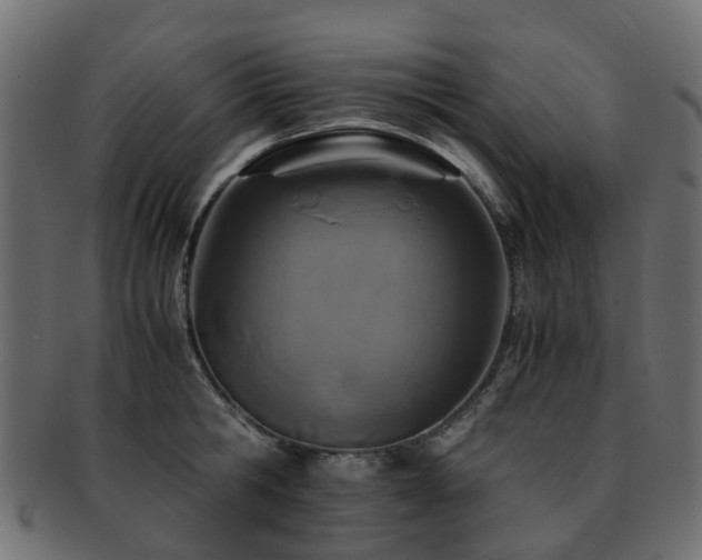 X0000093230806200709261651