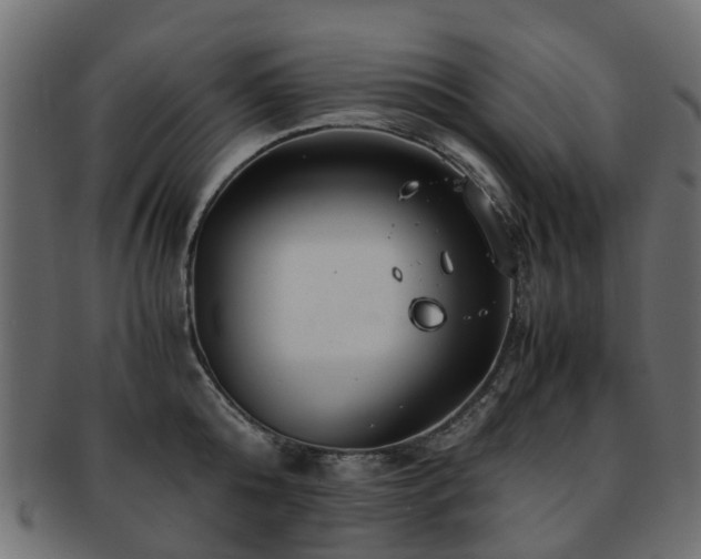 X0000093230808200709261651