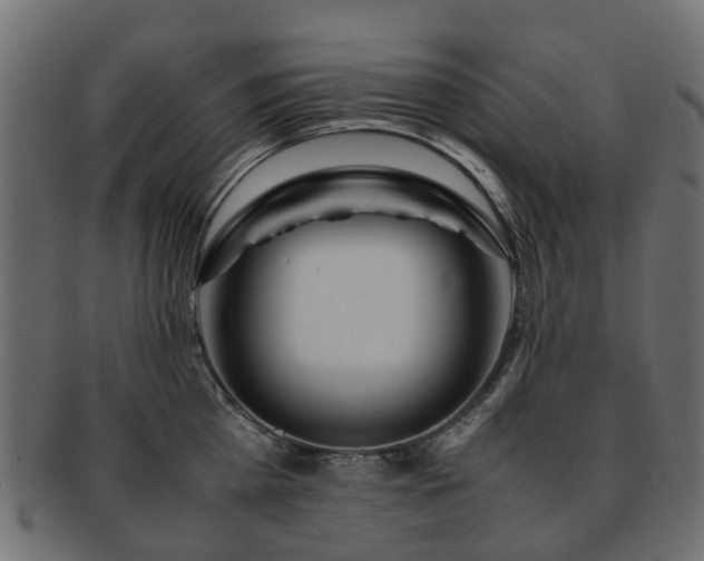 X0000093230809200709261651