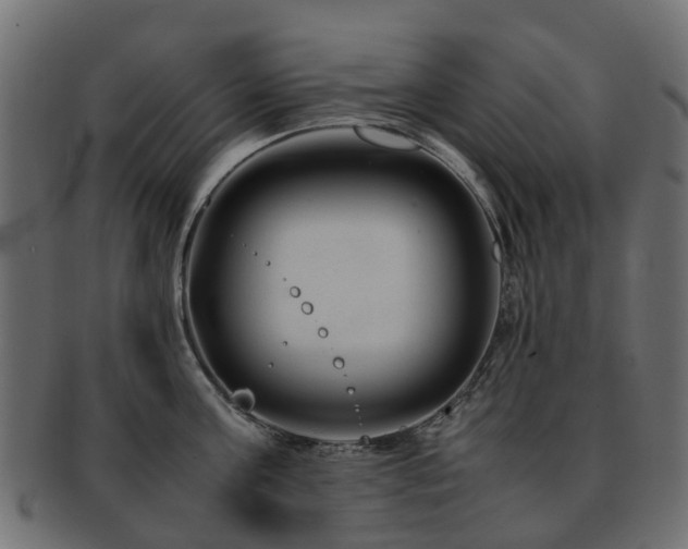 X0000093230811200709261651