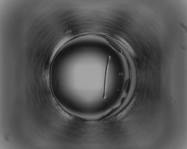 X0000093230812200709261651
