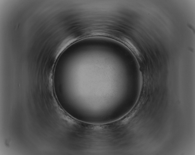 X0000093230814200709261651