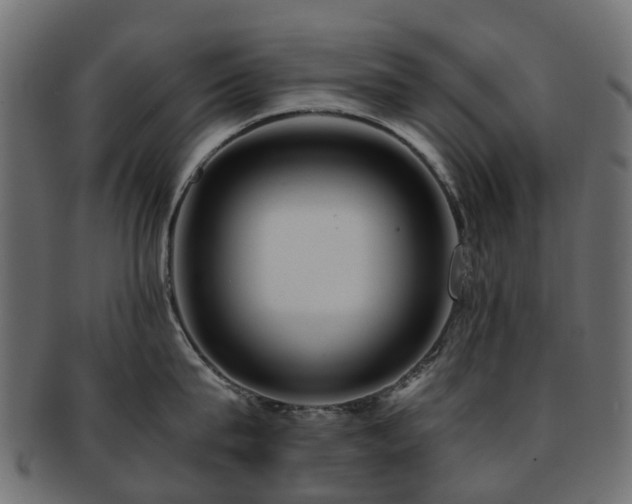 X0000093230815200709261651