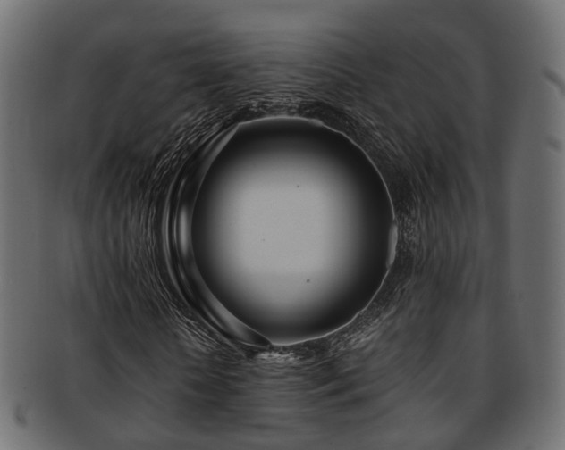 X0000093230818200709261650