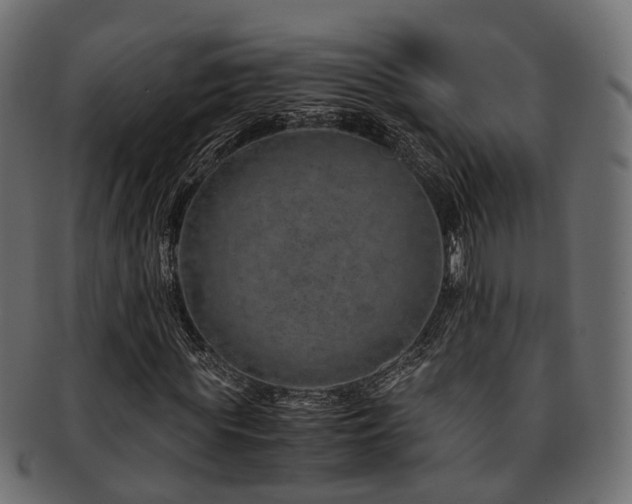 X0000093230819200709261650