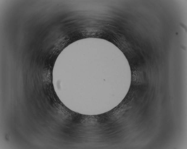 X0000093230820200709261650