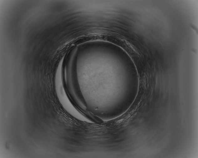 X0000093230821200709261650