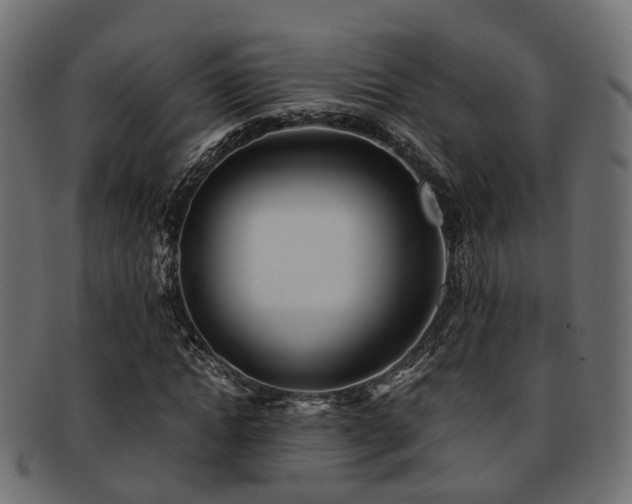 X0000093230822200709261650