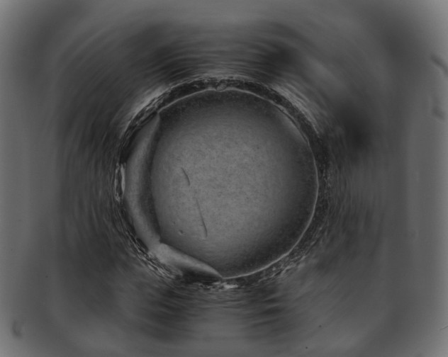 X0000093230823200709261650