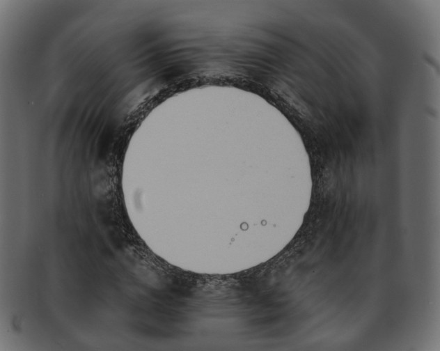 X0000093230824200709261650