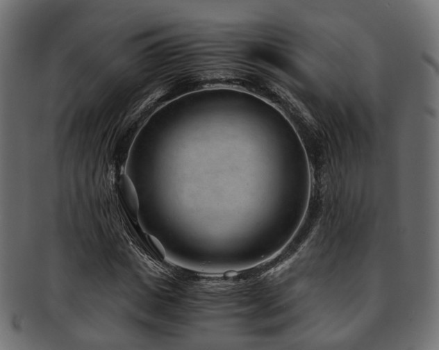 X0000093230825200709261650