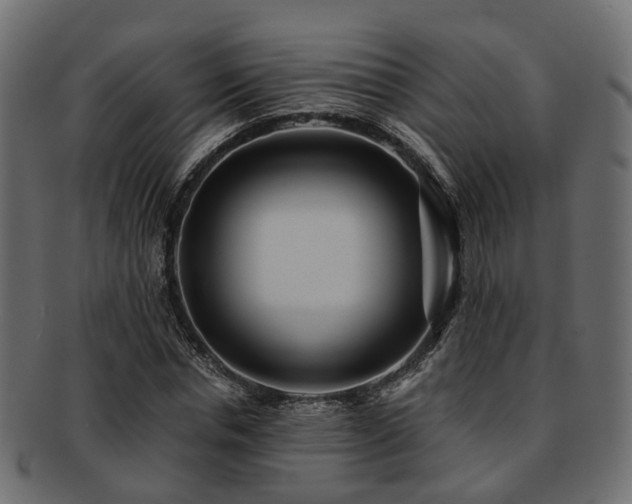 X0000093230826200709261650