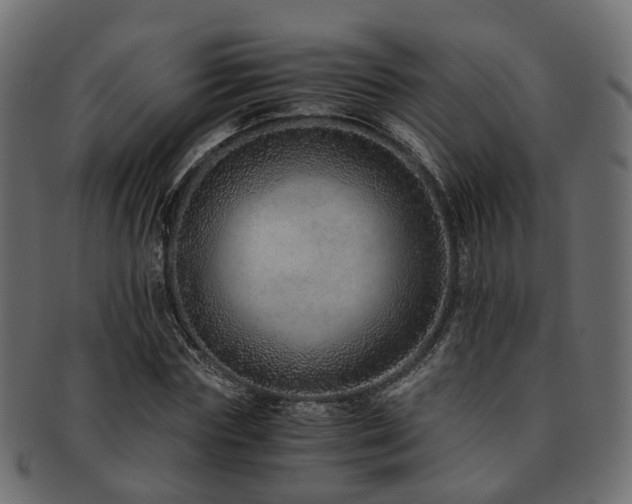 X0000093230827200709261650