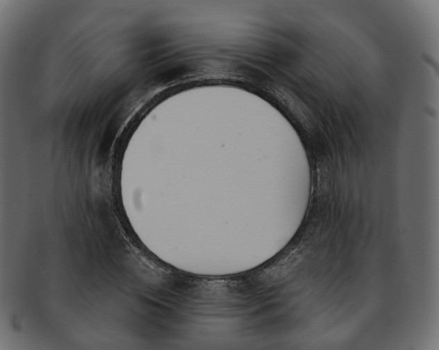 X0000093230828200709261650