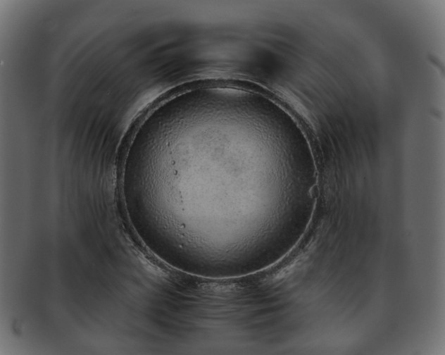 X0000093230831200709261650