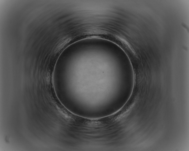 X0000093230833200709261650