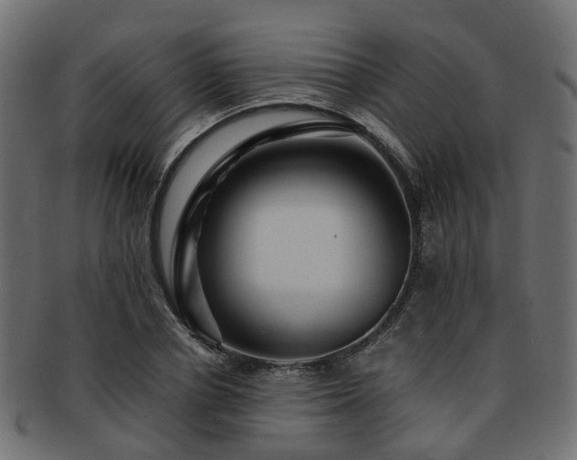 X0000093230834200709261650