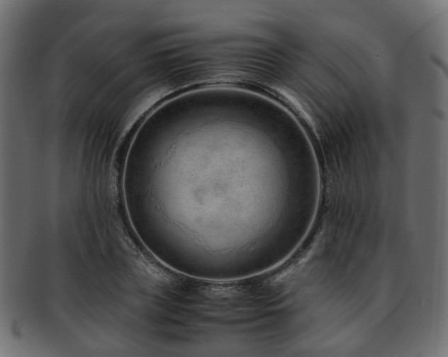 X0000093230835200709261650