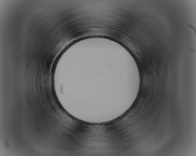 X0000093230836200709261650