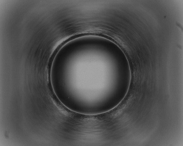 X0000093230838200709261650