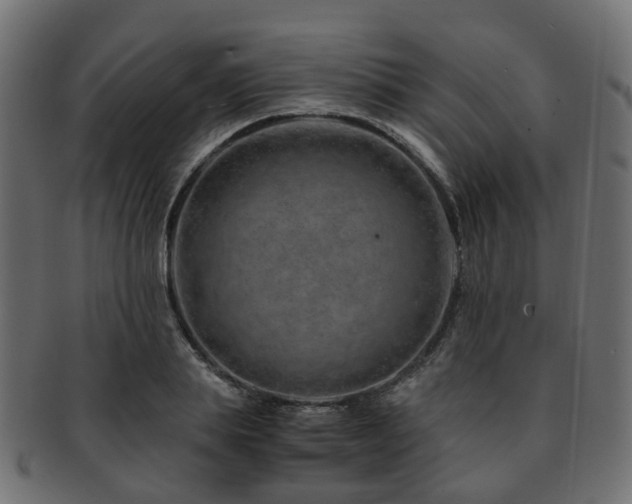 X0000093230839200709261650