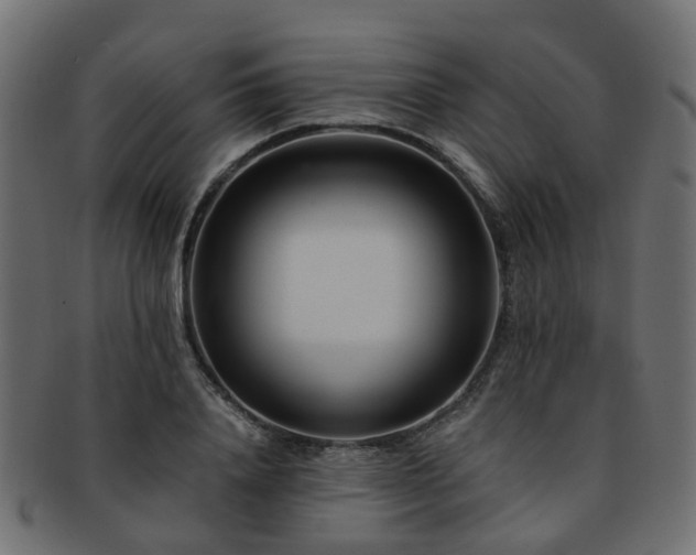 X0000093230840200709261650