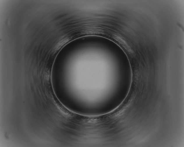 X0000093230841200709261650