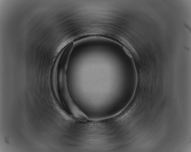 X0000093230842200709261650