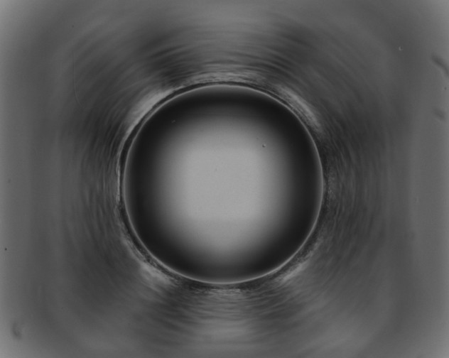 X0000093230844200709261650