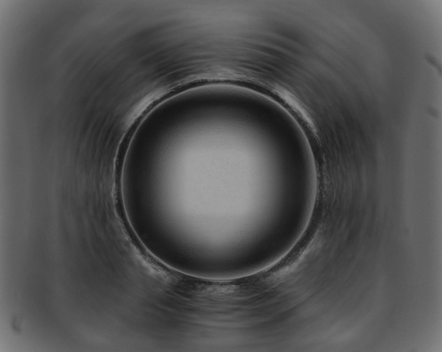 X0000093230845200709261650