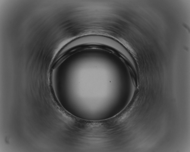 X0000093230846200709261650