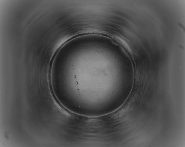 X0000093230847200709261650