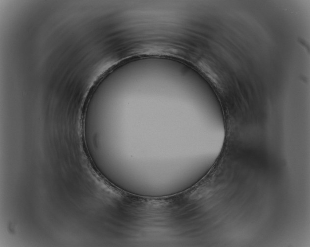 X0000093230848200709261650