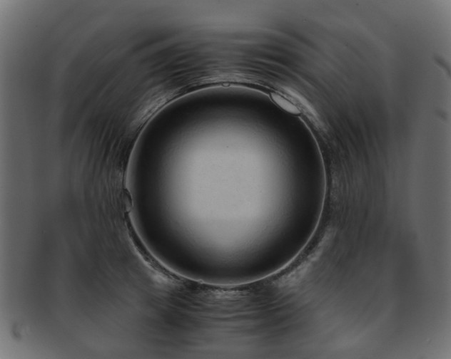 X0000093230849200709261650